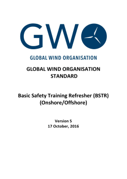 GLOBAL WIND ORGANISATION STANDARD Basic Safety Training