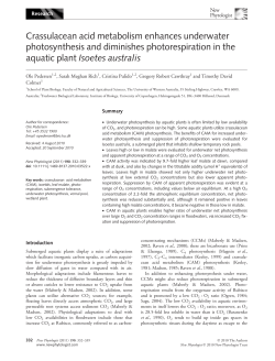 Crassulacean acid metabolism enhances underwater