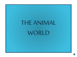 THE ANIMAL WORLD