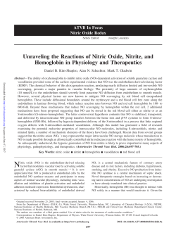 Unraveling the Reactions of Nitric Oxide, Nitrite, and Hemoglobin in
