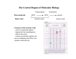 The Central Dogma of Molecular Biology