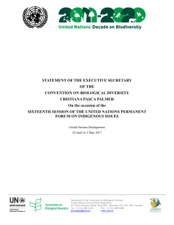 Statement of the Executive Secretary of the Convention on
