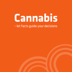Cannabis &ndash; let facts guide your decisions