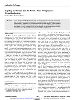 Targeting the Kinesin Spindle Protein