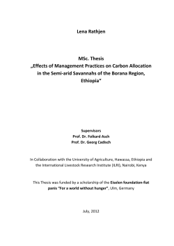 Lena Rathjen MSc. Thesis &bdquo;Effects of