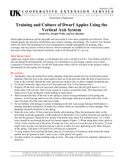 Training and Culture of Dwarf Apples Using the Vertical Axis System