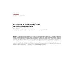 Sporulation in the Budding Yeast Saccharomyces cerevisiae