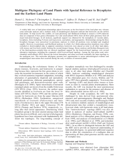 Multigene Phylogeny of Land Plants with Special Reference to