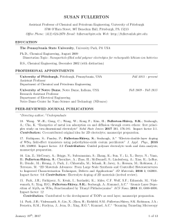 SUSAN FULLERTON - The Fullerton Group