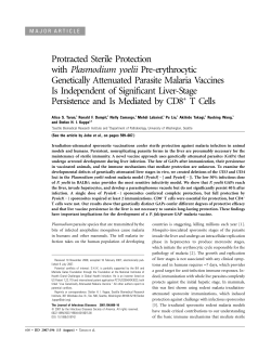 Protracted Sterile Protection with Plasmodium yoelii Pre