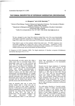 THE FUNGAL ENDOPHYTES OF DIPODIUM VARIEGATUM