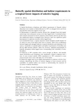 Butterfly spatial distribution and habitat requirements in a tropical