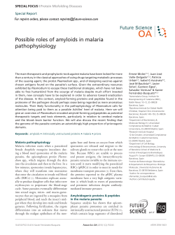 Possible roles of amyloids in malaria pathophysiology