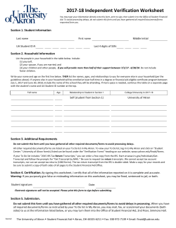 Independent Verification Worksheet (Form 2)