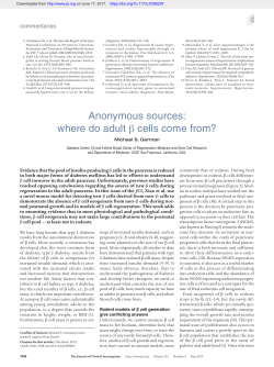 Anonymous sources: where do adult &beta; cells come from?