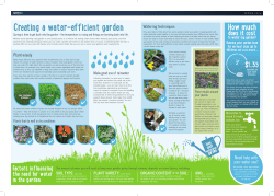 Creating a water-efficient garden
