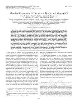 Microbial Community Biofabrics in a Geothermal Mine
