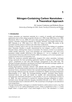 Nitrogen-Containing Carbon Nanotubes - A Theoretical