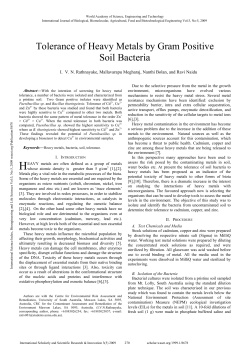Tolerance of Heavy Metals by Gram Positive Soil Bacteria