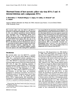 Shortened forms of beet necrotic yellow vein virus RNA-3 and