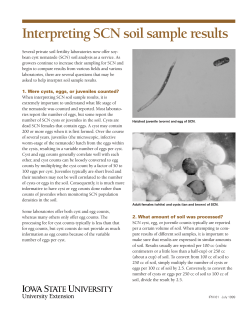Interpreting SCN soil sample results
