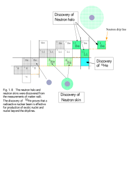 He He Li Be Be Discovery of Discovery of Neutron halo Neutron skin
