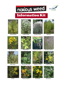 Noxious Weeds Information Kit