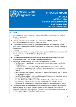 Global Situation Report on Zika: Zika virus, Microcephaly and