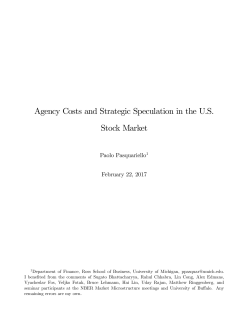 Agency Costs and Strategic Speculation in the U.S. Stock Market