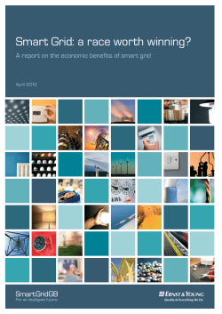 EY Smart Grid: a race worth winning? A report on the economic