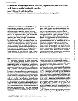 Differential Phosphorylation In Vivo of Cytoplasmic Dynein