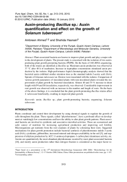Auxin-producing Bacillus sp.: Auxin quantification and effect
