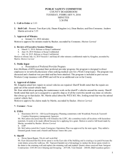 PUBLIC SAFETY COMMITTEE