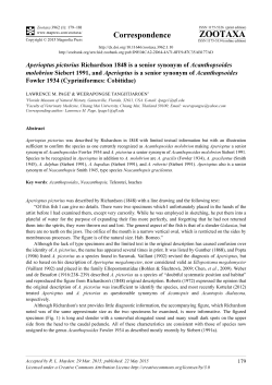 Preview - Magnolia press