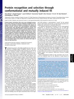 Protein recognition and selection through conformational and