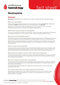 fact sheet - Melbourne Haematology