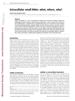 Extracellular small RNAs