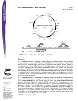 pLVX-DsRed-Monomer-N1 Vector Information