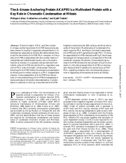 The A-kinase&ndash;Anchoring Protein AKAP95 Is a Multivalent Protein