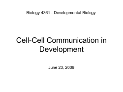 Cell-Cell Communication in Development