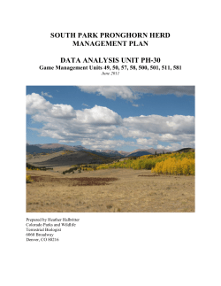 South Park Pronghorn Herd Management Plan