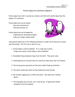 Paired Adjective Sentence Openers