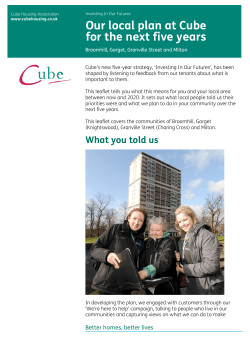 Our local plan at Cube for the next five years