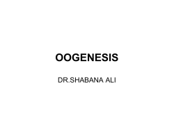 OOGENESIS