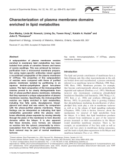 Characterization of plasma membrane domains enriched in lipid