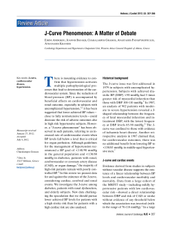 J-Curve Phenomenon: A Matter of Debate