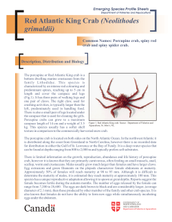 Atlantic Red King Crab - Department of Fisheries and Aquaculture