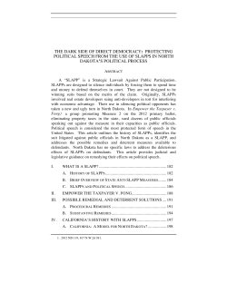 the dark side of direct democracy: protecting