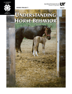 understanding horse behavior understanding horse behavior - 4-H