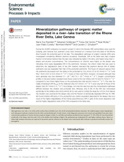 Mineralization pathways of organic matter